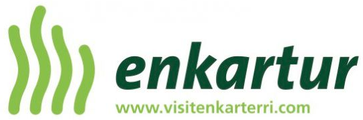 Enkartur